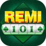Remi 101